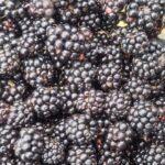 Sucre arrangé - L'Étretat 150g – Image 3