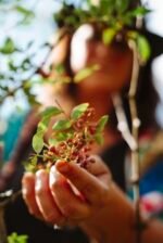 Thé aux épices et poivres - 45 g – Image 4