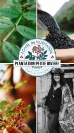 Duo - Poivre de Noël 25g et sa céramique - par Delphine Mouchel – Image 8